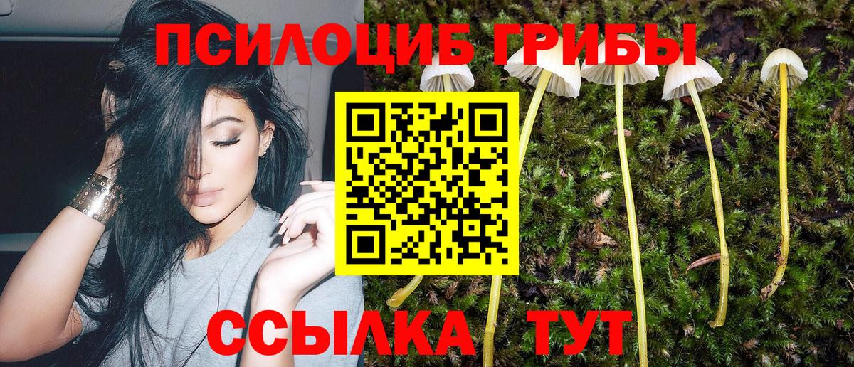 Псилоцибиновые грибы Cubensis  Вход с VPN  Галлюциногенные грибы Psilocybe  Кизляр 